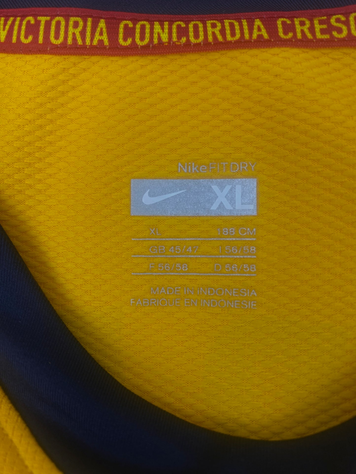Cesc Fàbregas Arsenal 08/09 (XL)