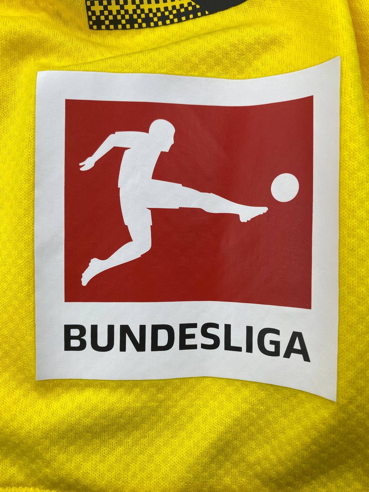 Erling Haaland Borussia Dortmund 19/20 (L)