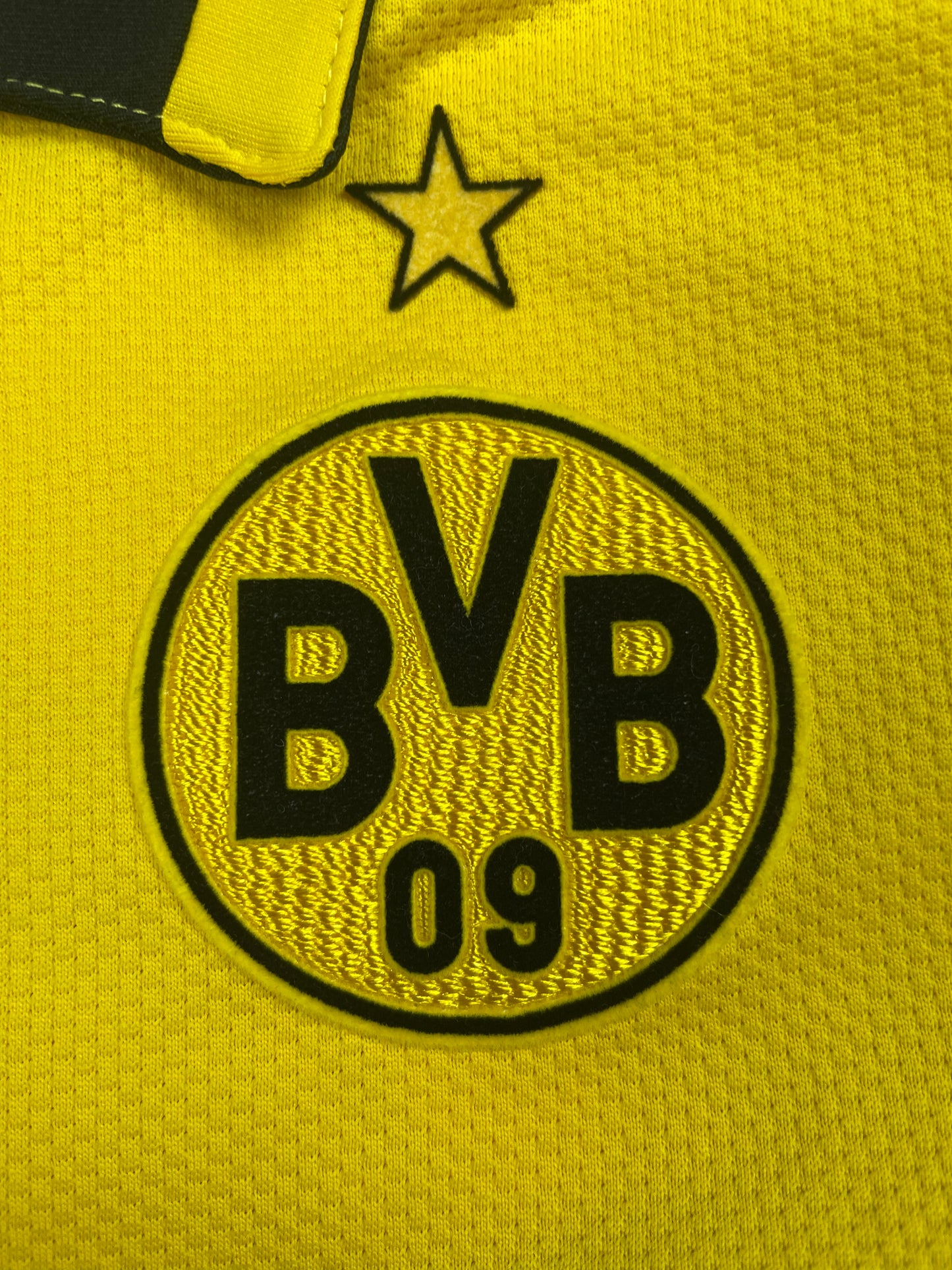 Mladen Petrić Borussia Dortmund 07/08 Matchworn (L)