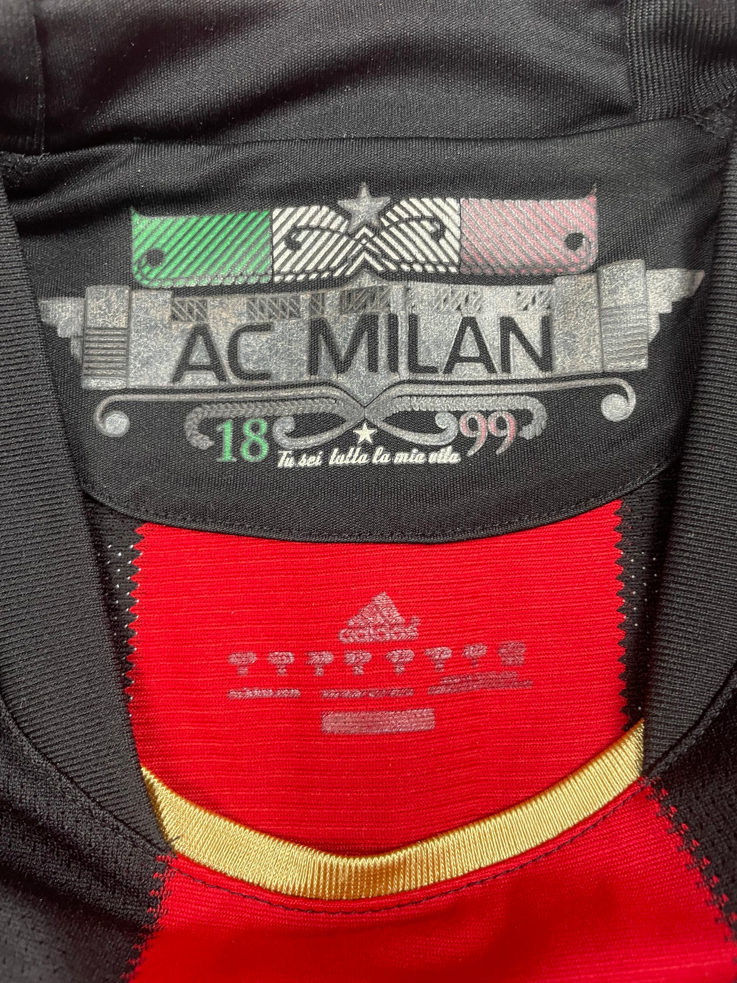 Thiago Silva AC Milan 10/11 (M)