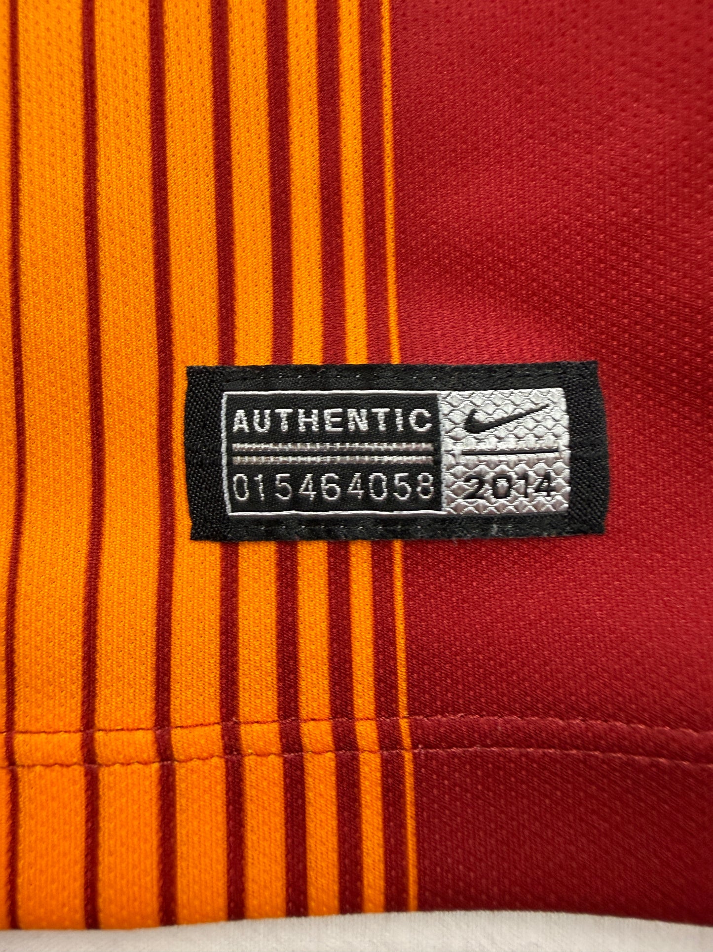 Wesley Sneijder Galatasaray Istanbul 14/15 (M)