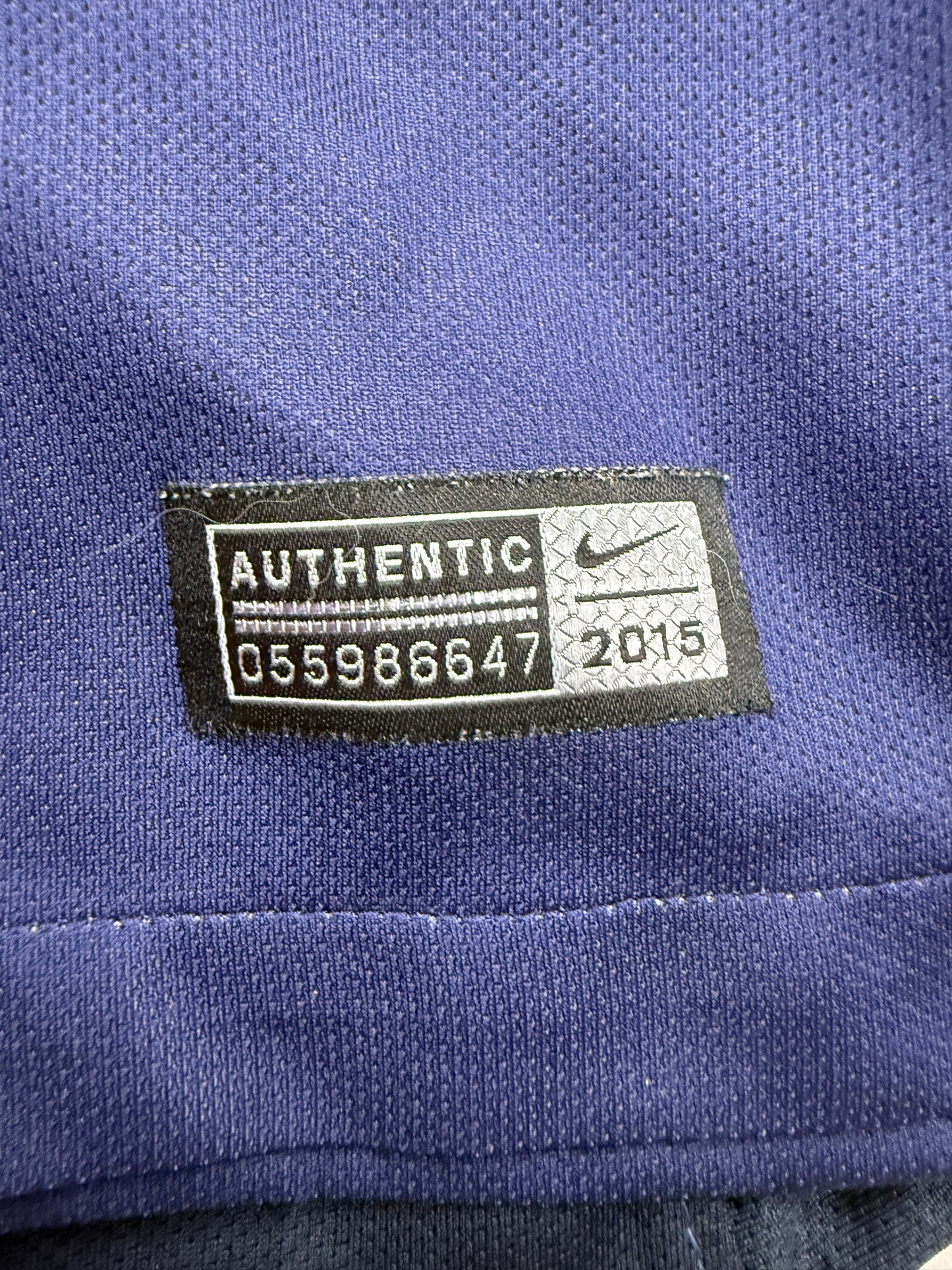 Zlatan Ibrahimović Paris Saint Germain 15/16 (L)