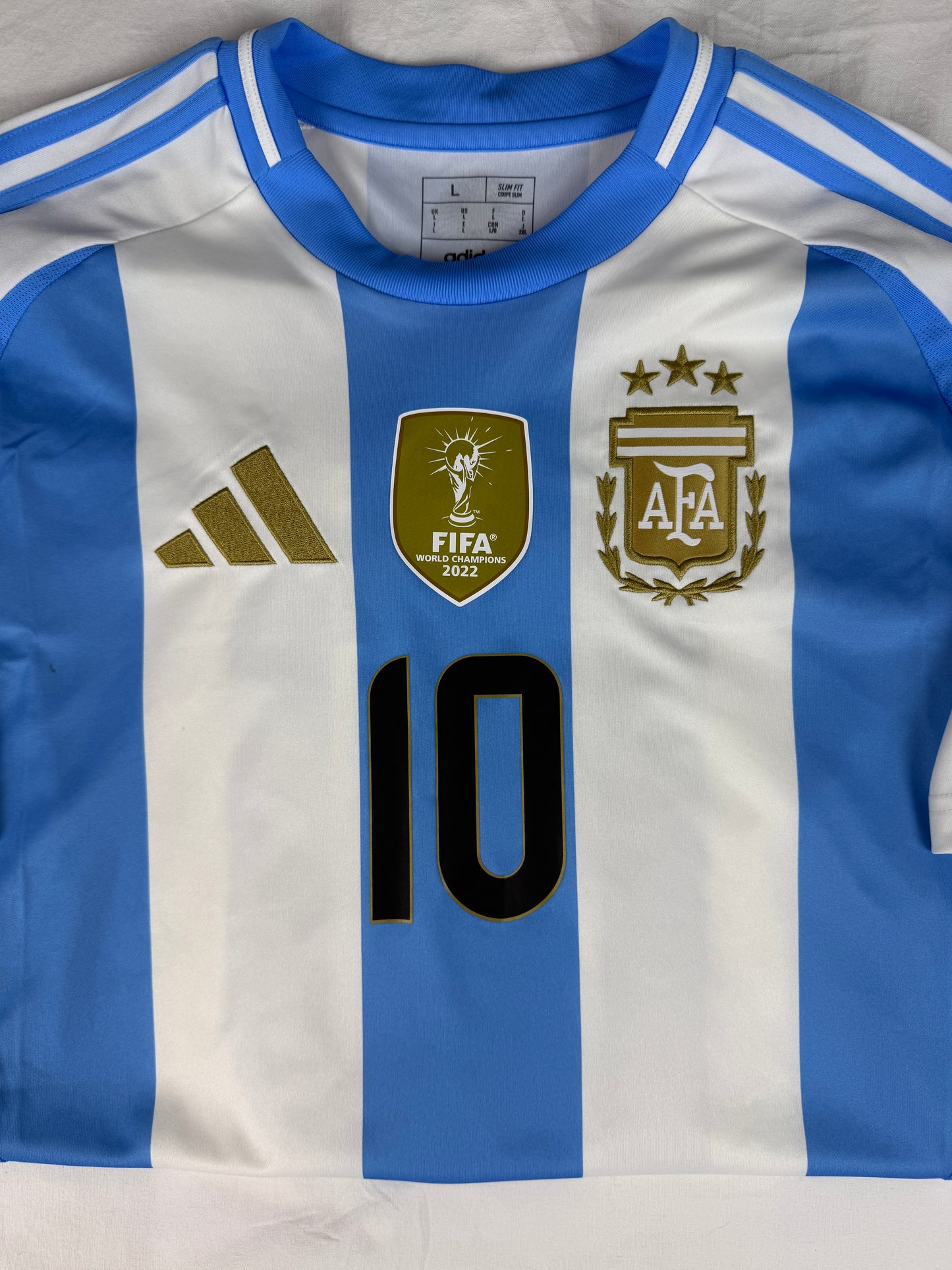 Lionel Messi Argentinien 2024 (L)