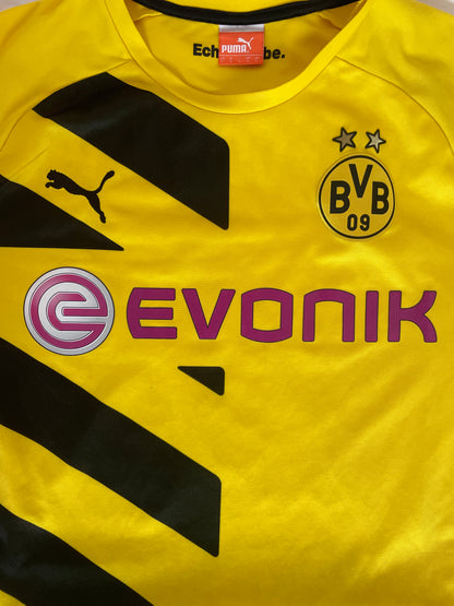 Pierre Emerick Aubameyang Borussia Dortmund 14/15 (L)