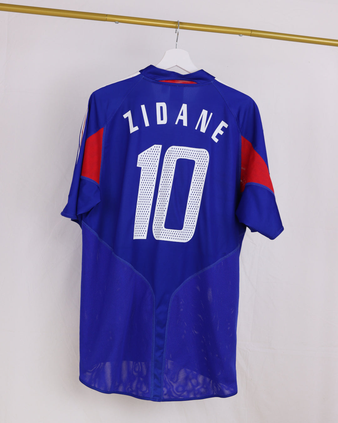 Zinedine Zidane France 04-06 (L)