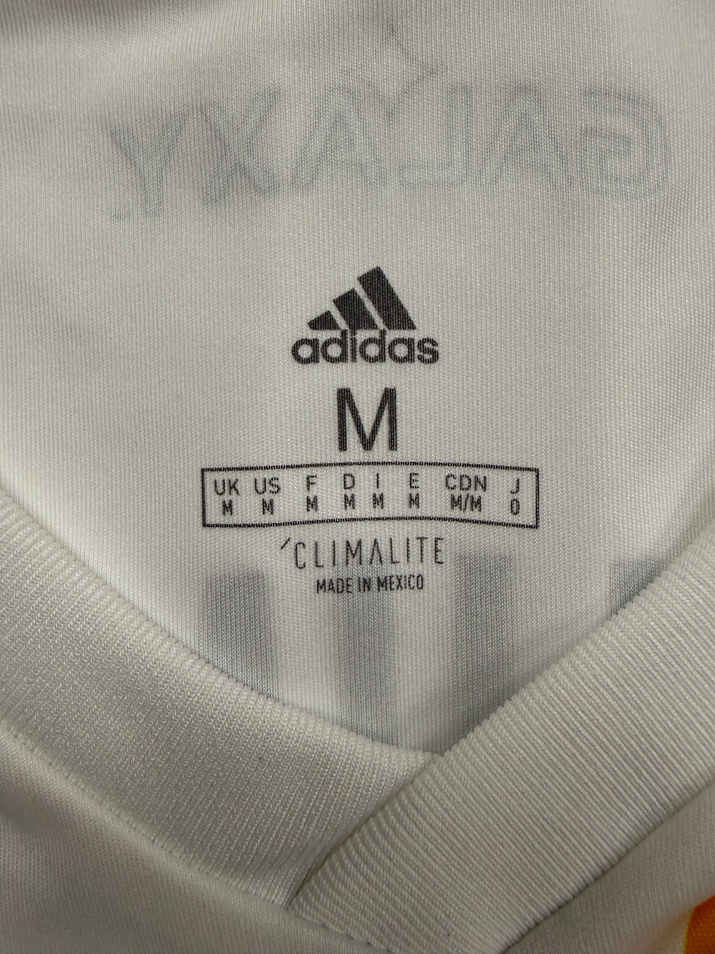 Zlatan Ibrahimović LA Galaxy 18/19 (L)