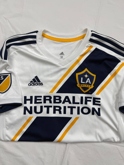 Zlatan Ibrahimović LA Galaxy 18/19 (L)