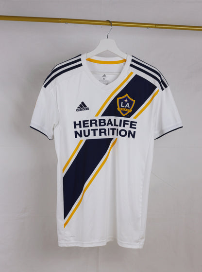Zlatan Ibrahimović LA Galaxy 18/19 (L)